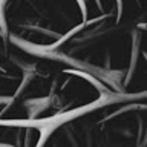 Meet your Posher, Miles